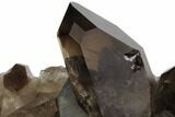 Dark Smoky Quartz Crystal Cluster - Brazil #84308-2